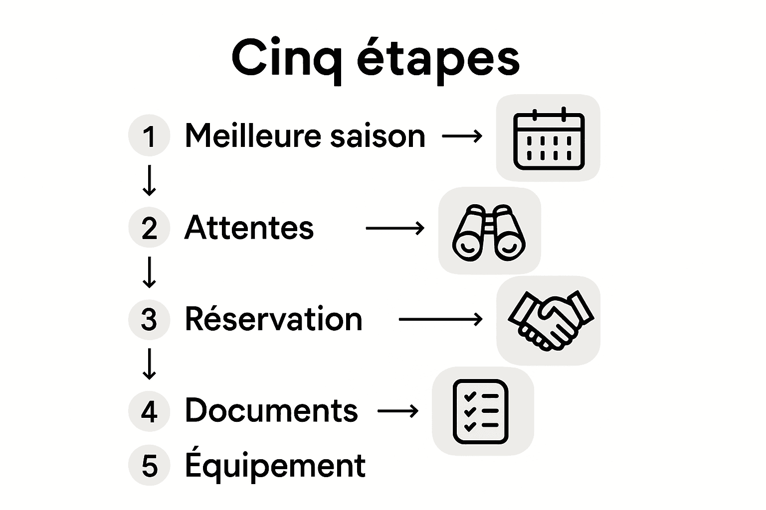 Five steps to an all-inclusive Namibian safari