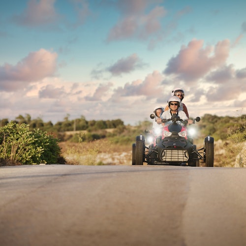 戈佐：全日导览瑞克游 + 戈佐接送票