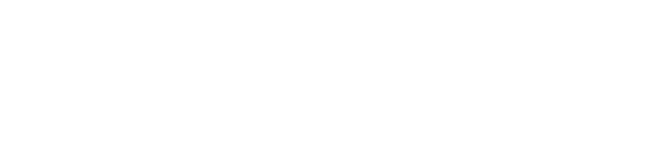 Company logo in white
