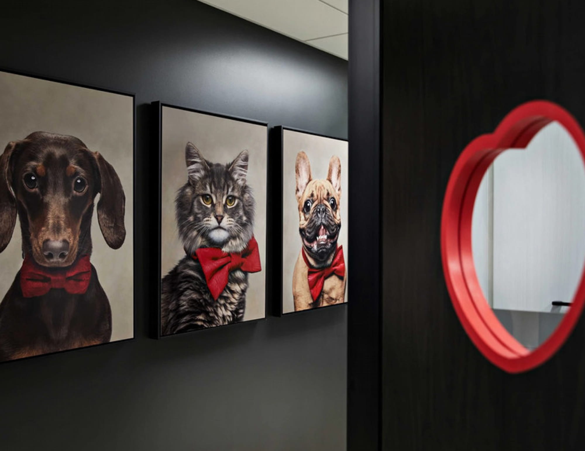 Dr. Treat pet healthcare branding by BMEG, featuring a clever logo where a pet’s nose is shaped like a heart, using custom rounded typography to convey a warm, compassionate, and digital-first clinic experience.