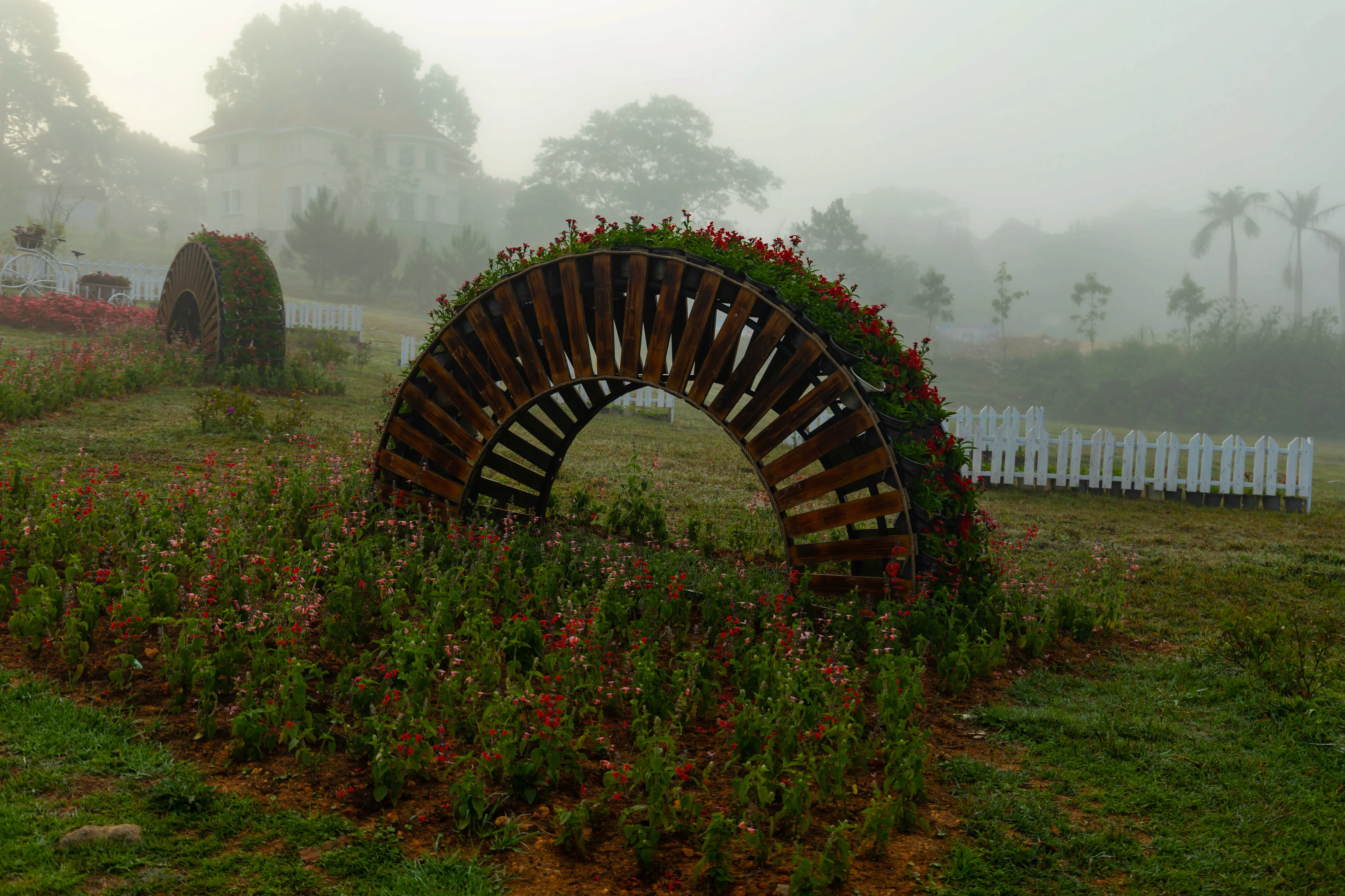 park-with-arch-shaped-plant-holder-colorful-flowers-phu-yen-vietnam