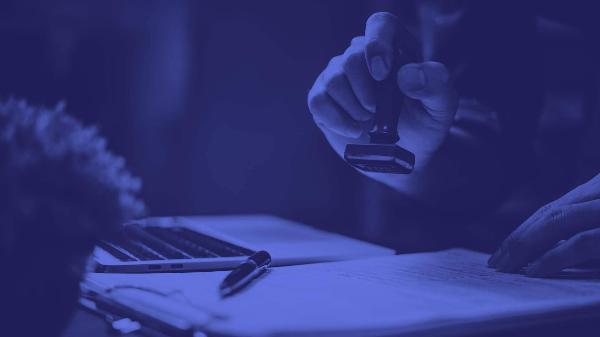 Grafik Tasarımcı freelancer olarak hangi işleri yapabilir?