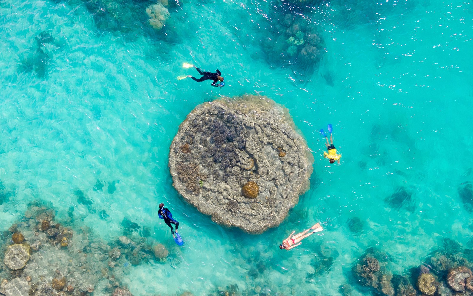 שנורקלרים חוקרים שונית אלמוגים במים צלולים, חבילת טיסה + רפטינג באיי וויטסאנדיי.