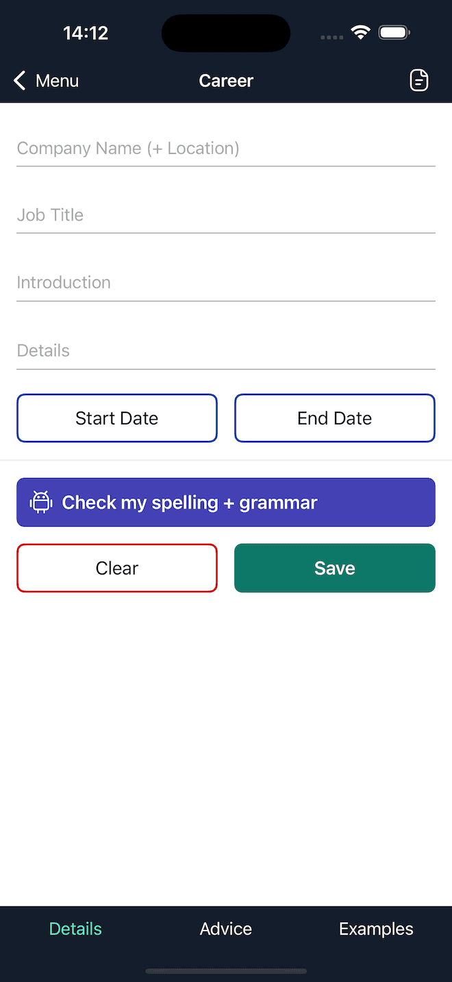 Screen where users input their Professional Experience details