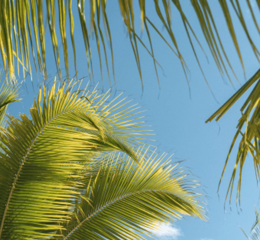 Summer Header 2026 Image Countdown