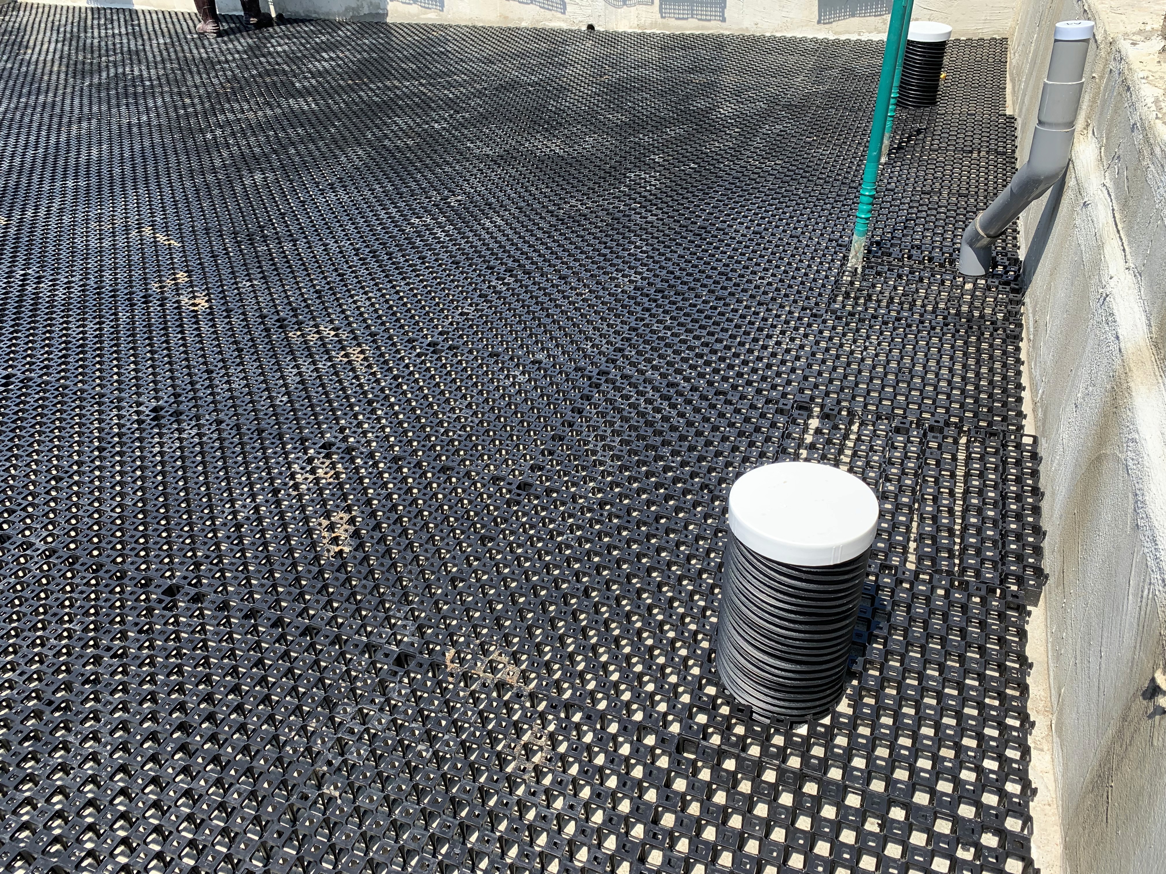 School Design School Renovation Building 校園升級 學校裝修 翻新學校 學校設計 學校工程 保養校園