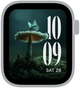 moss & mushroom Apple Watch face preview 5 featuring autumn and summer.
