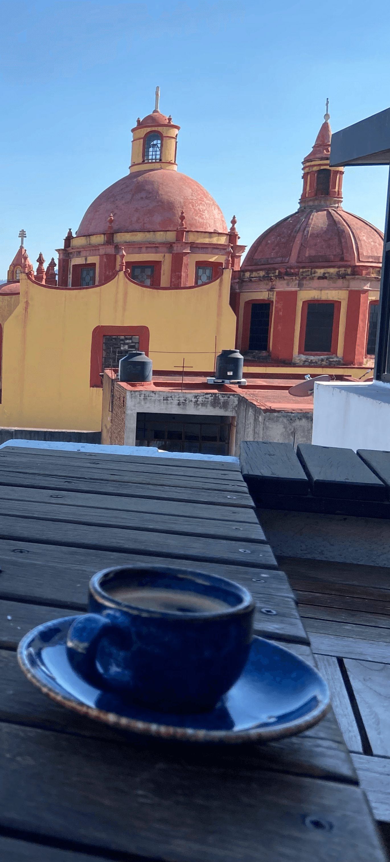 A mockup of Freelio's mobile app