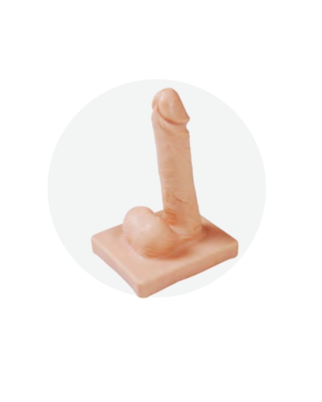 Male Condom Demonstration Model