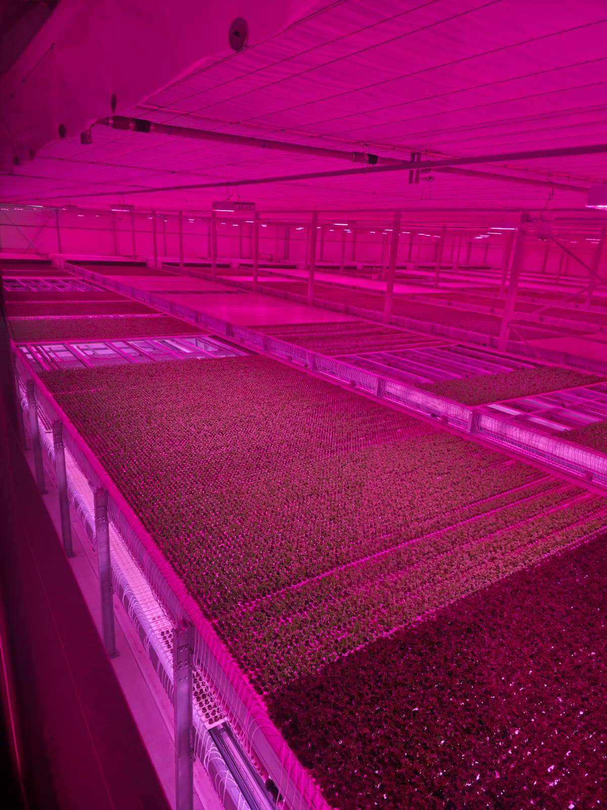 Horti XS B.V. Project The little garden | 0.5 ha