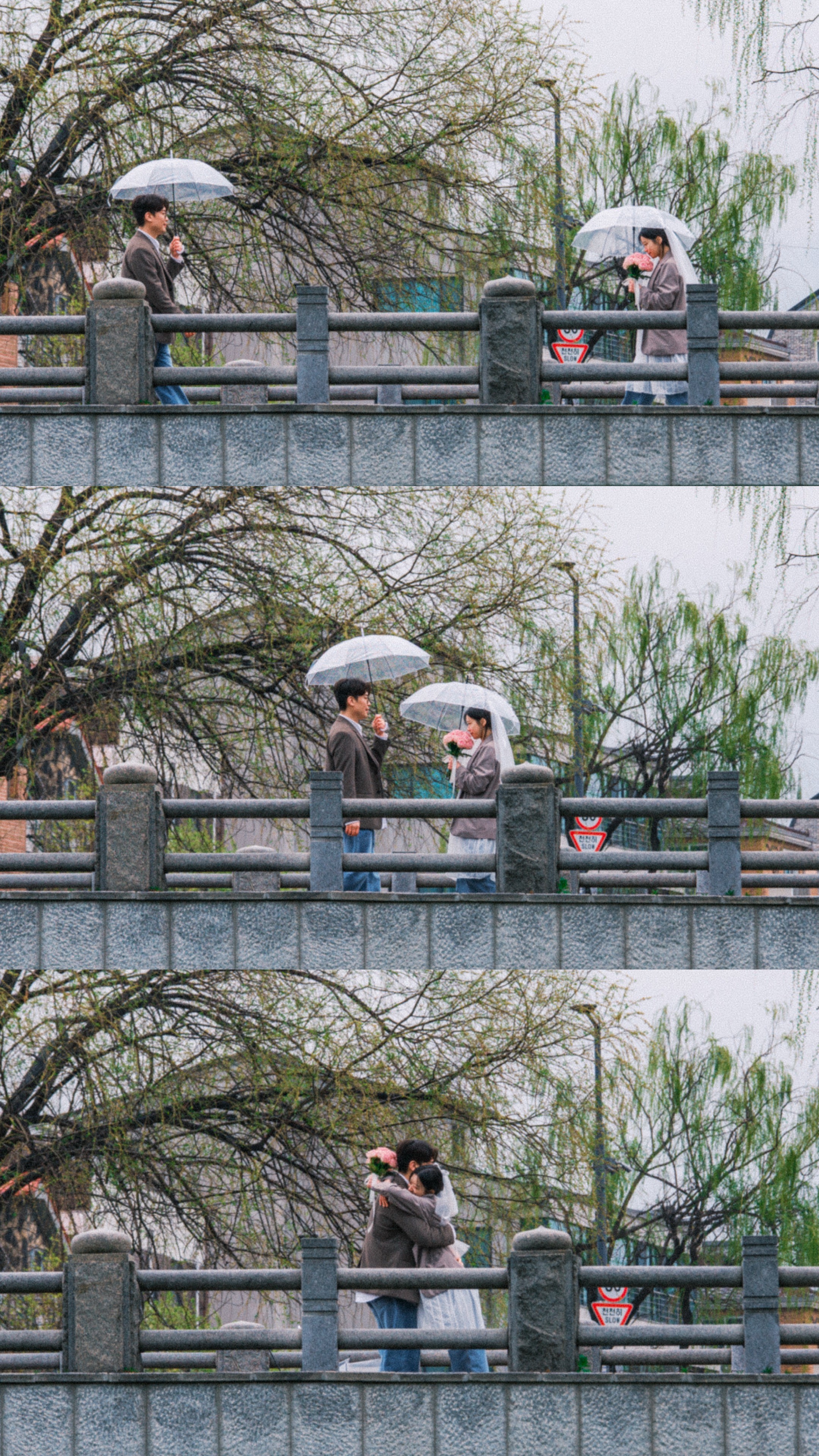 Photograph title Copy Copy Copy Copy Copy Copy Copy Copy Copy Copy