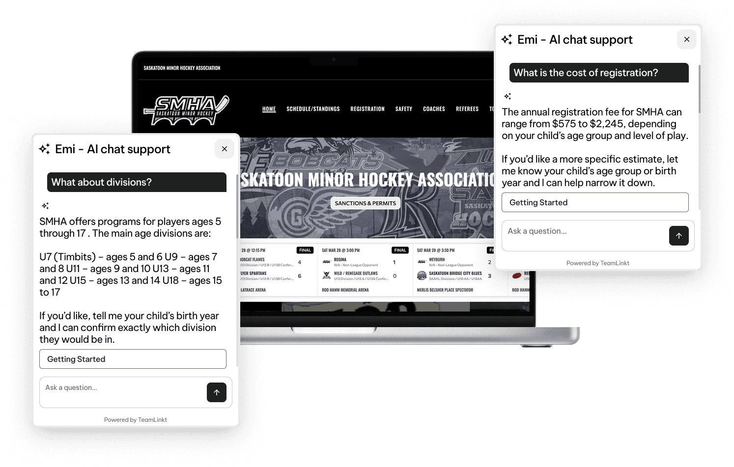 TeamLinkt AI Chatbot Software Screenshot