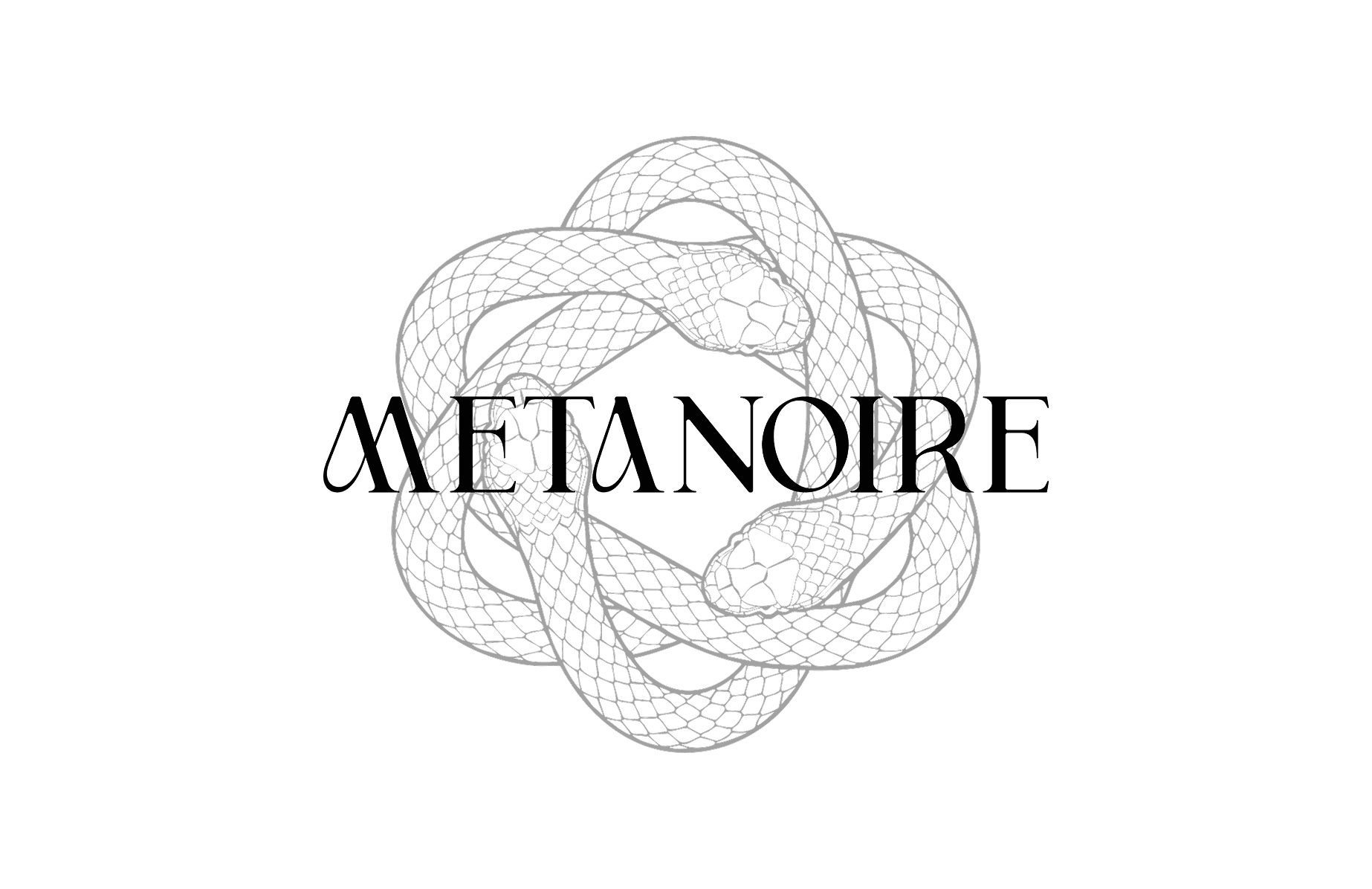 Portfolio project image