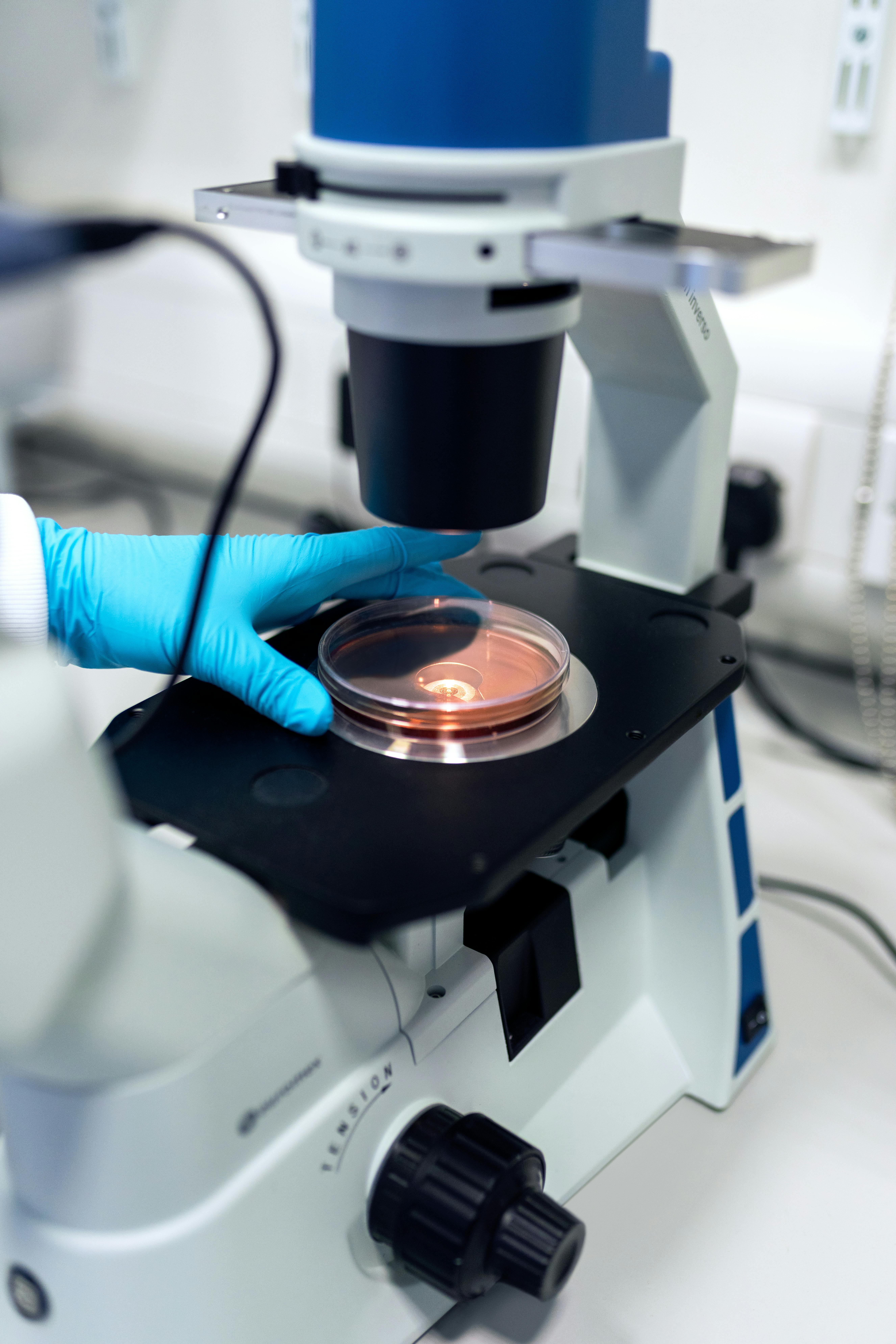 Gloved hand adjusts petri dish on microscope stage.