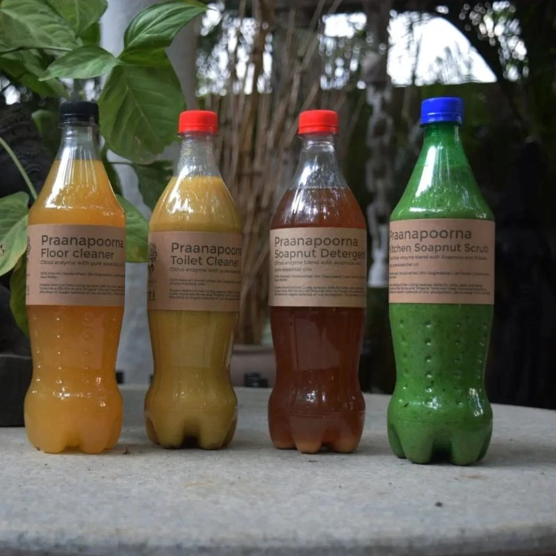 PraanaPoorna product image