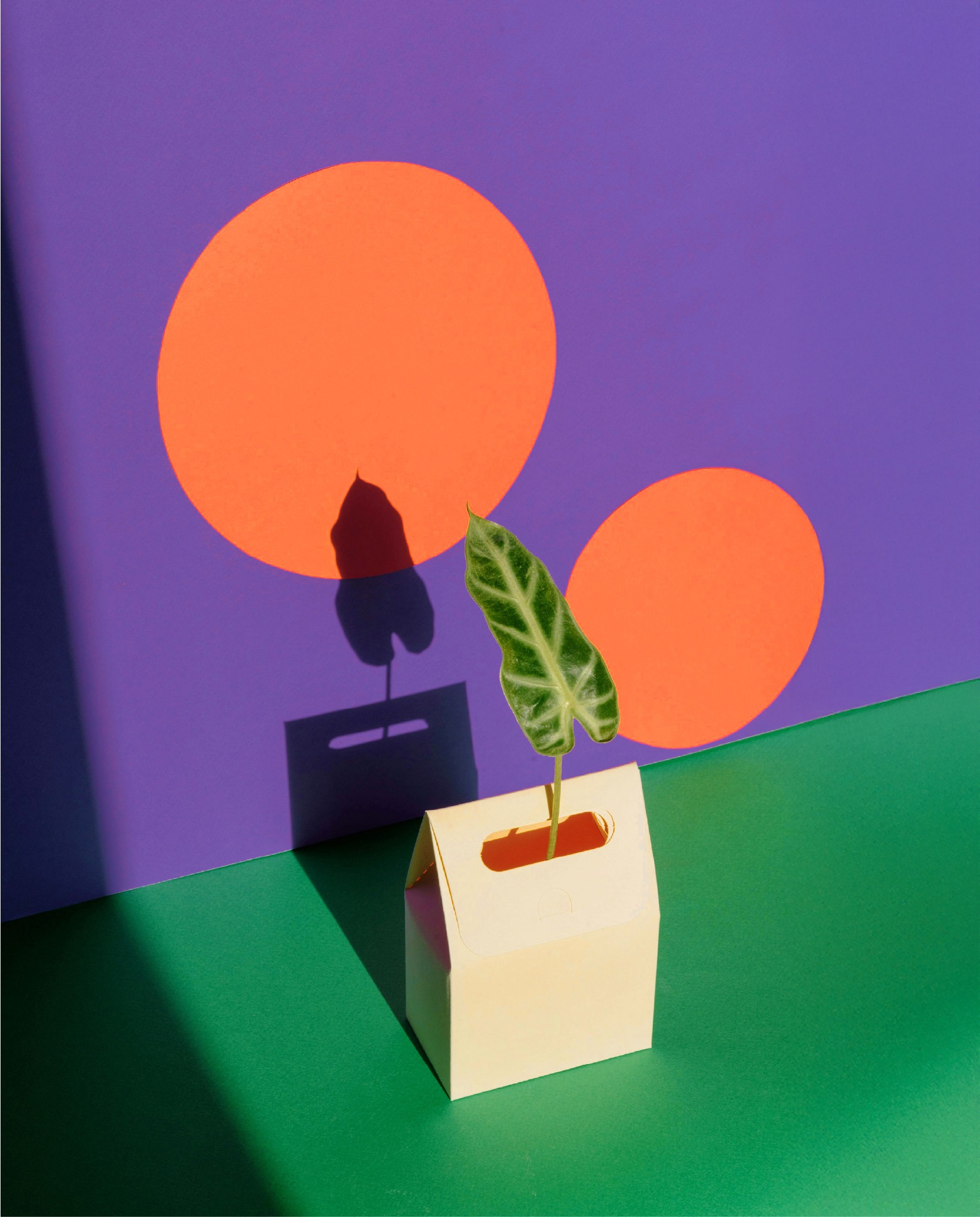 Older woman with gray hair holding tablet, looking thoughtful