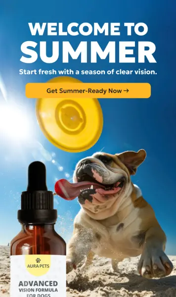 Welcome email from AuraPets for summer, featuring a dog in bright sunlight alongside AuraPets product.
