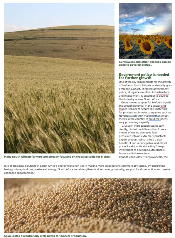 Putting biosolutions on South Africa’s economic agenda