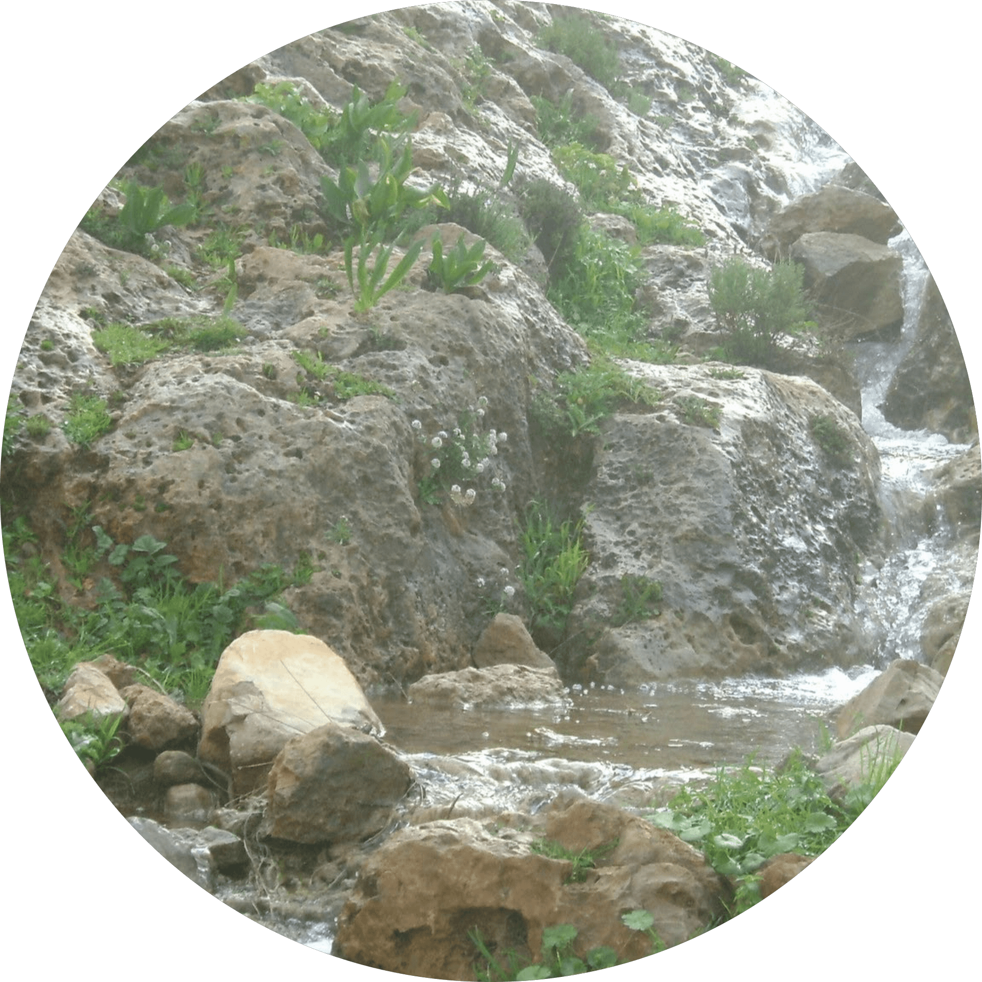 Profielfoto van een Astro gebruiker