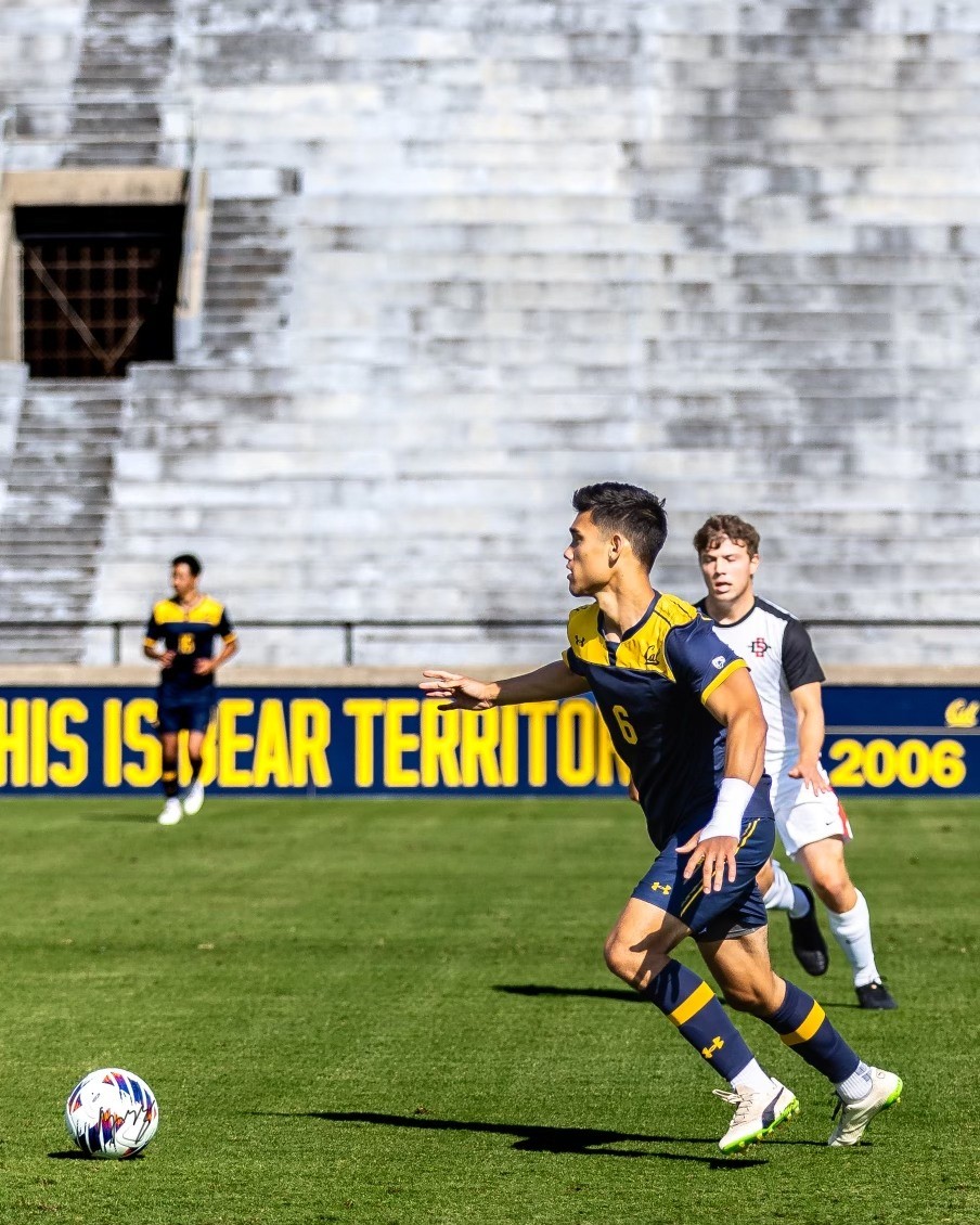 Clario cashflow overview card displaying income and expense trends over the past 7 days with a line chart.