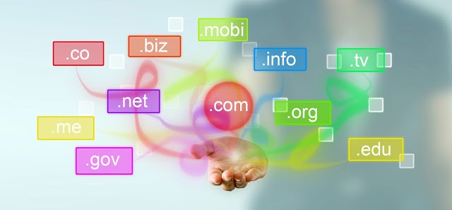 A Domain Name for a website