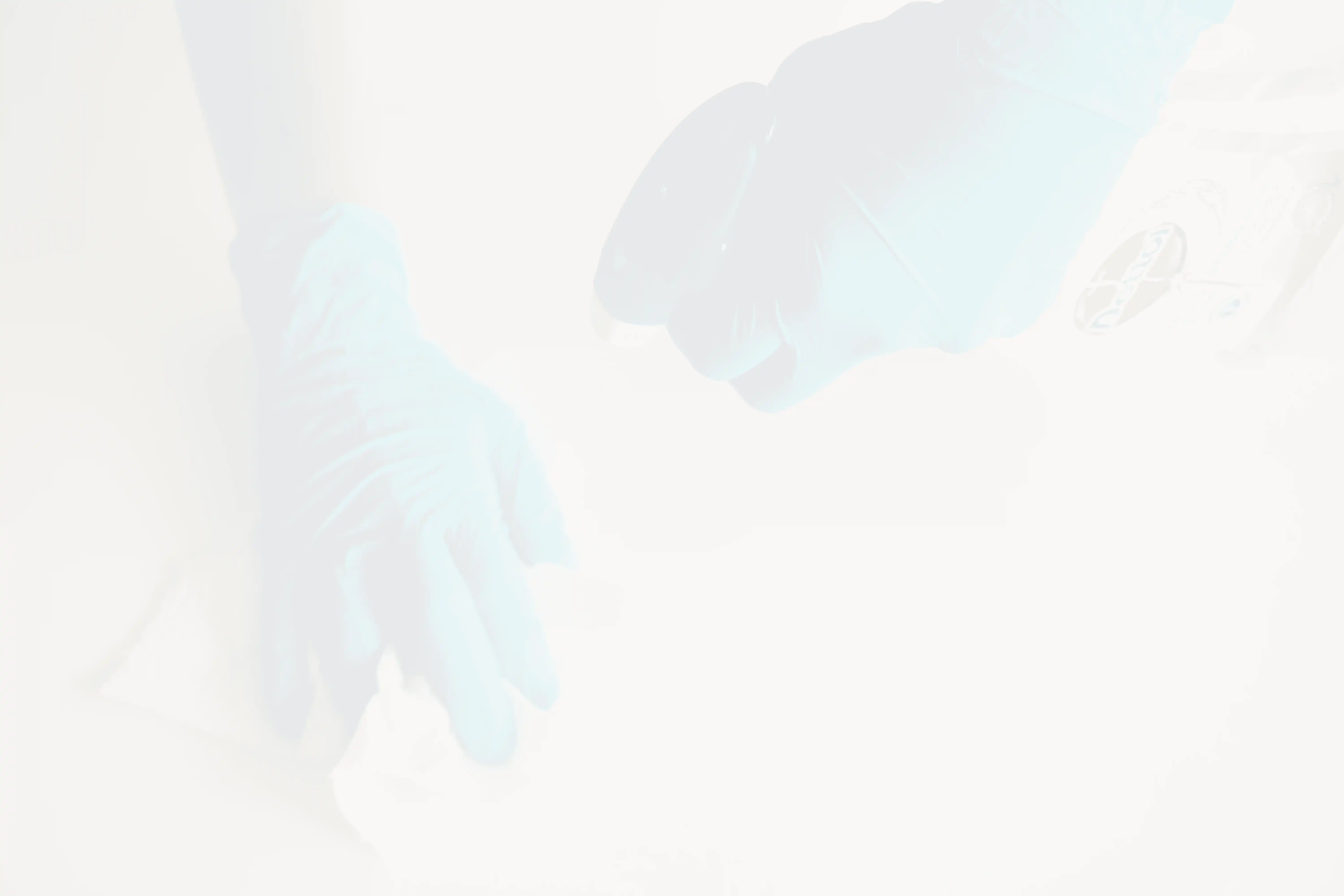 person in blue gloves holding white textile