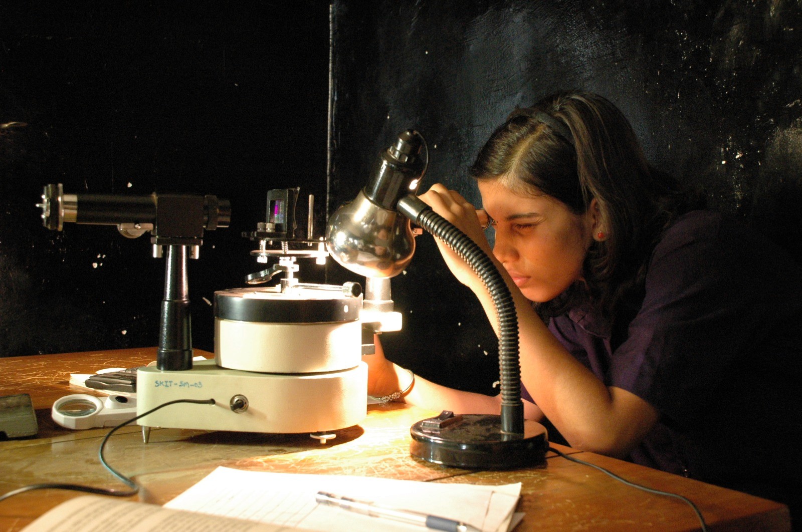 Modern landscaped garden showcasing professional outdoor design.