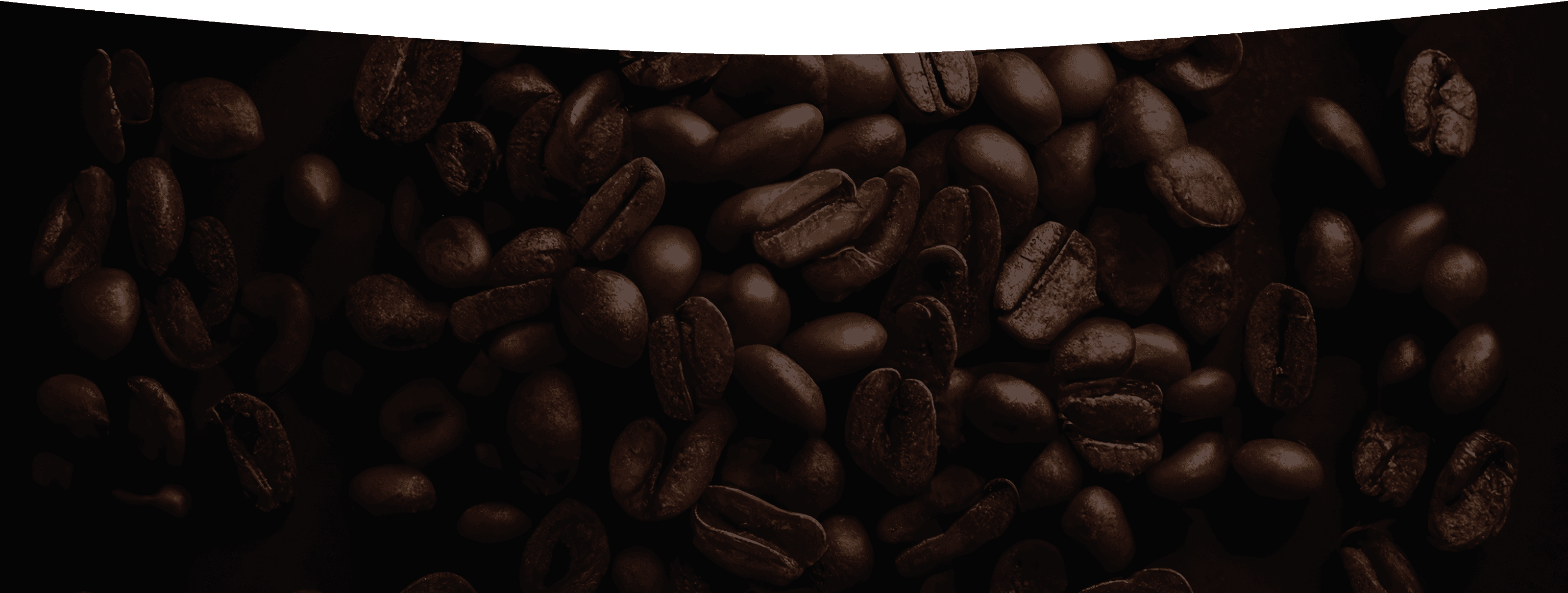 BG Image
