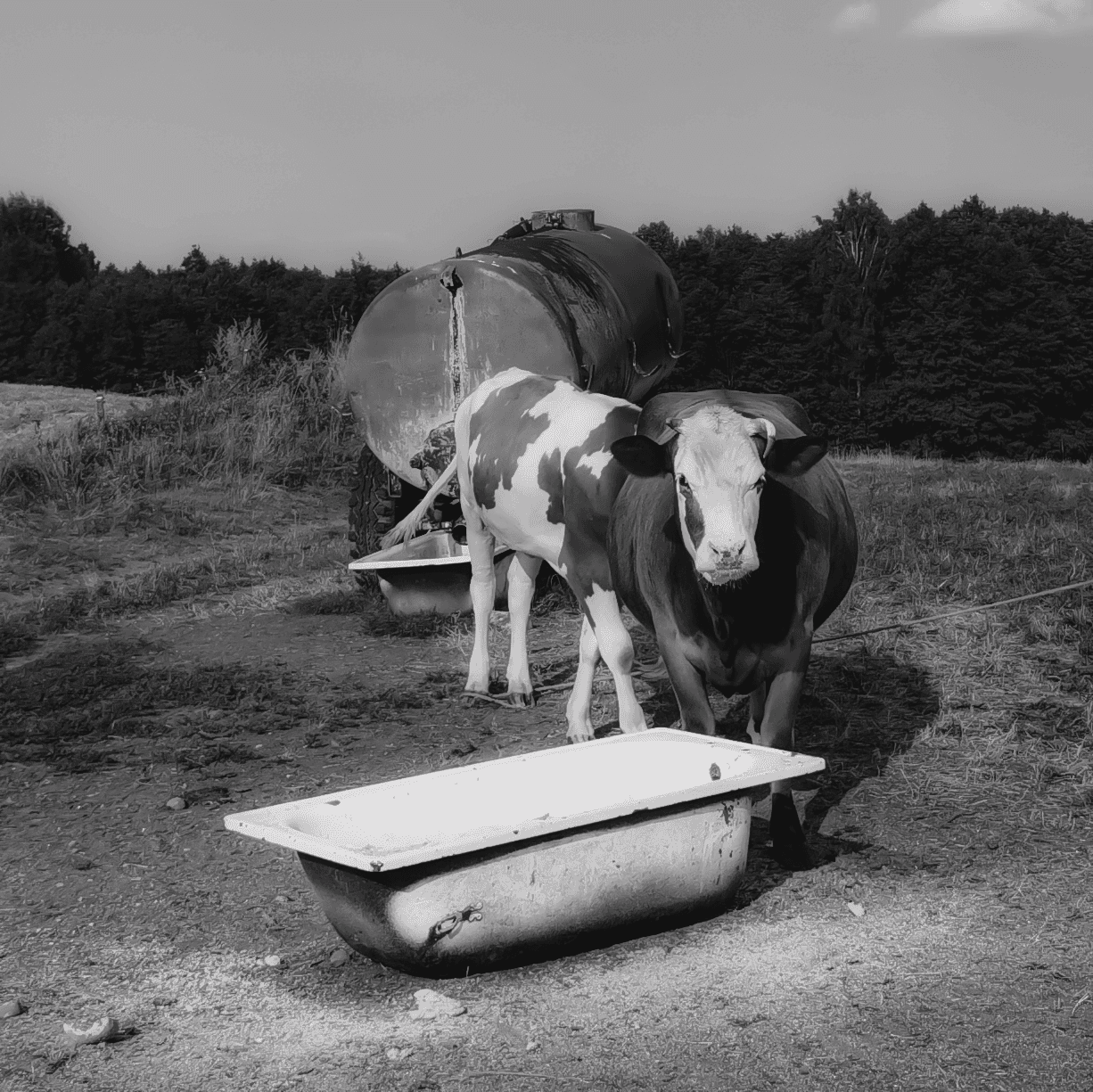 People playing soccer on a rooftop court surrounded by city buildings