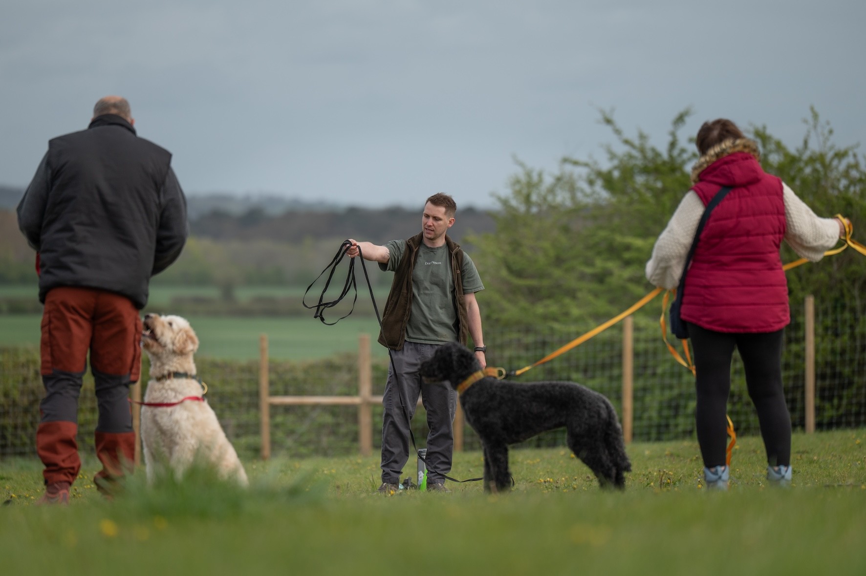 In the foreground are two happy, relaxed dogs being trained by their owners. In the background is Scott (Dog Person) holding a long line while talking to the owners (demonstrating)