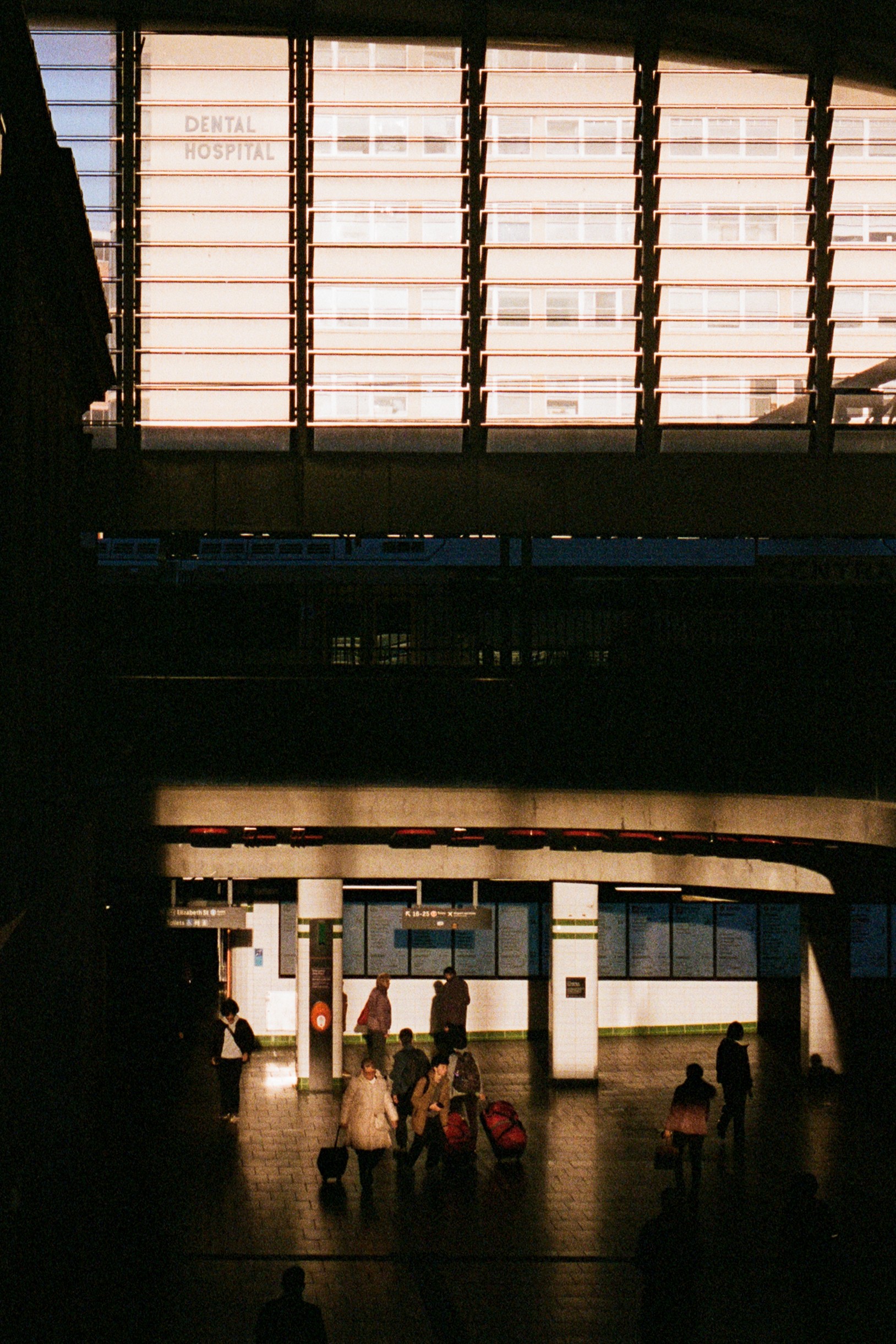 Siednji Leon Unsplash