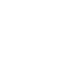 Next Arrow