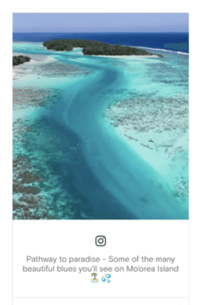 panel template example