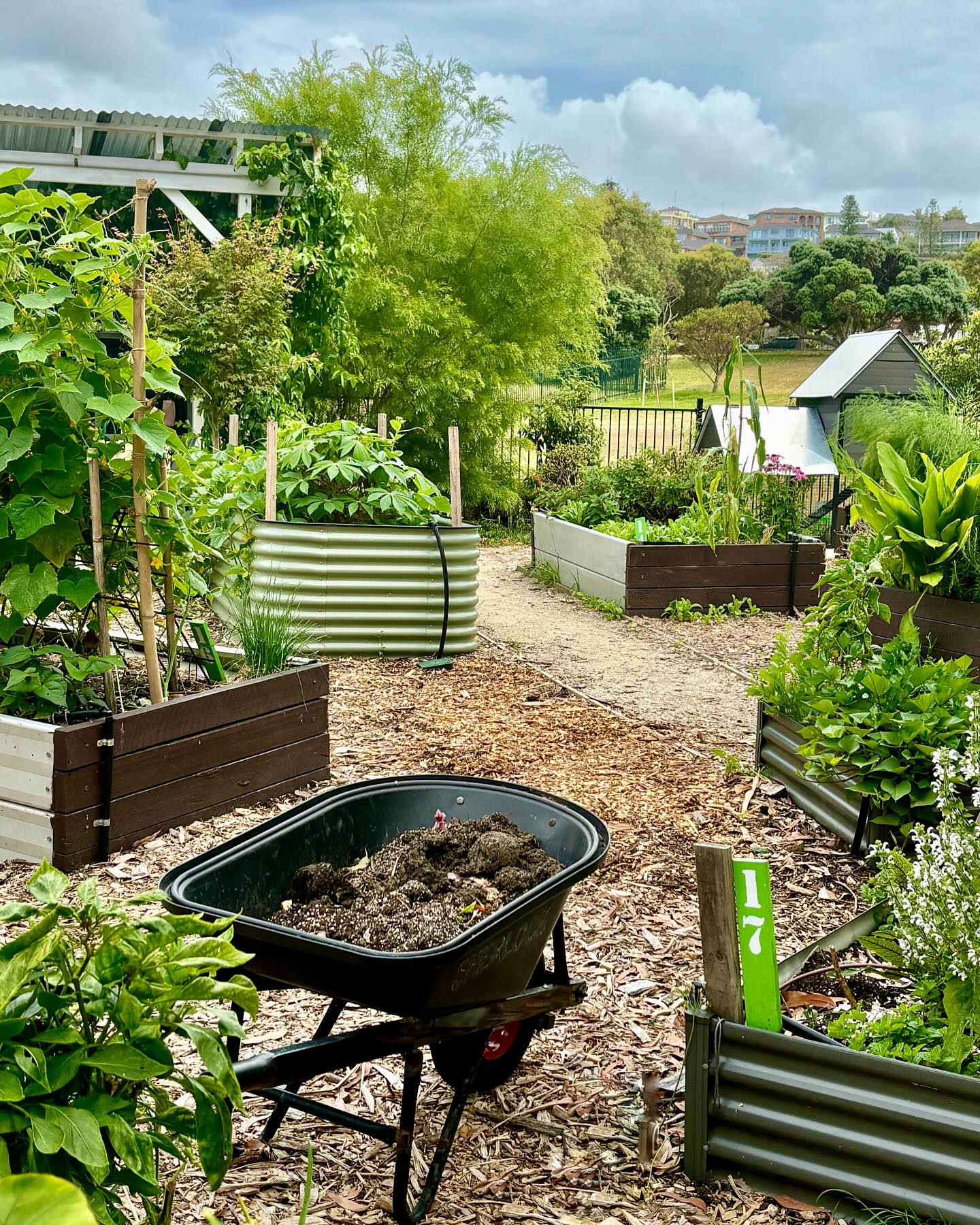 Beautiful landscaped garden with greenery and outdoor design elements.