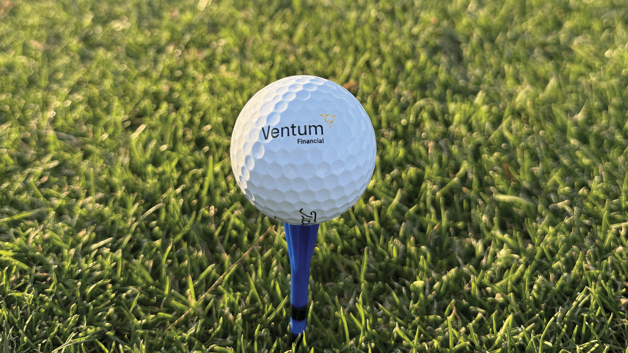 closeup photo of white golf ball