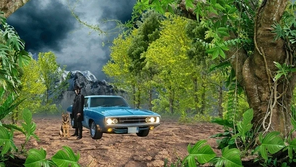Car in Forest