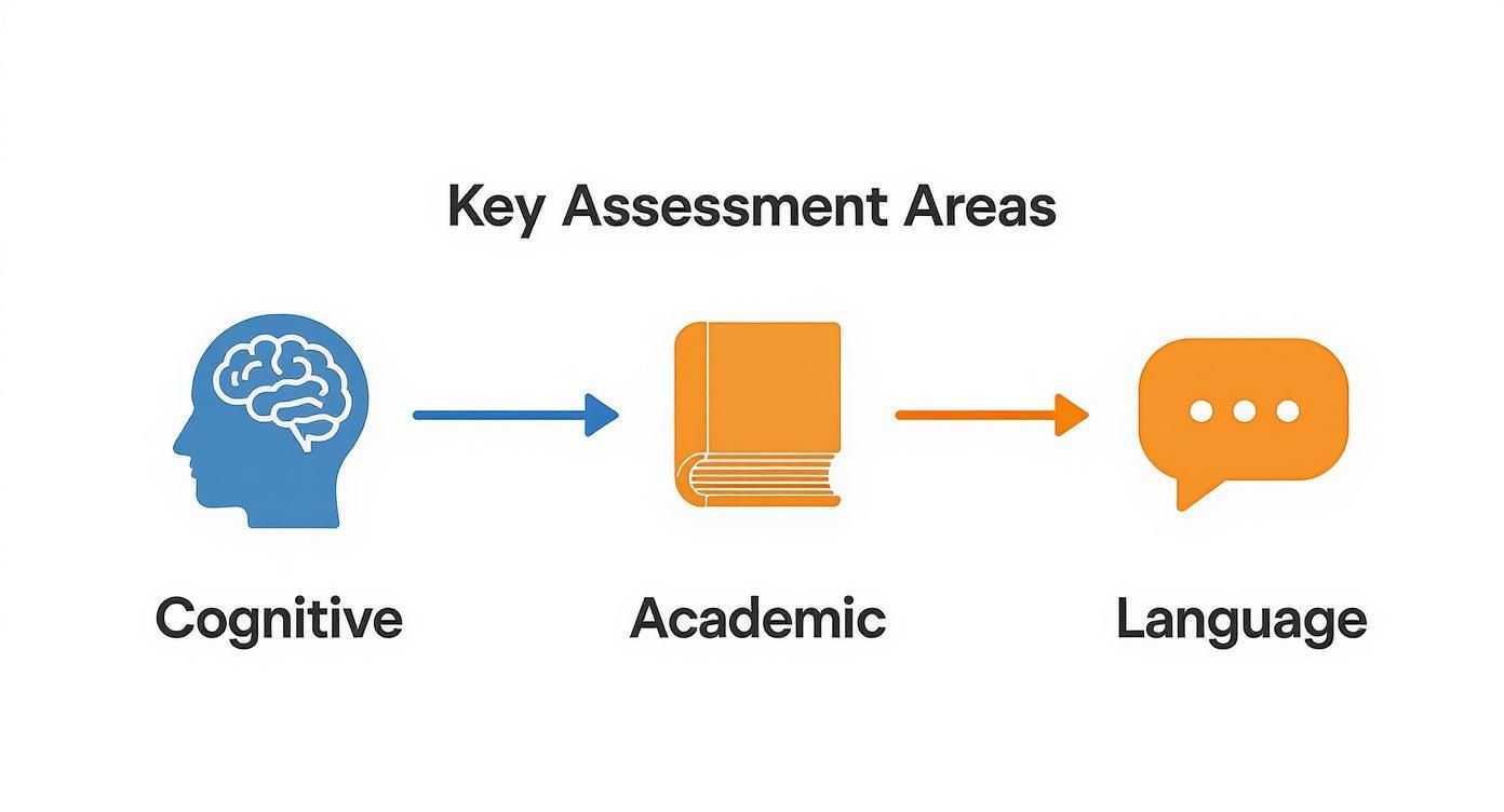 An infographic illustrating key assessment areas: cognitive function, academic performance, and language proficiency.