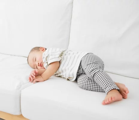 franchise big smash burger