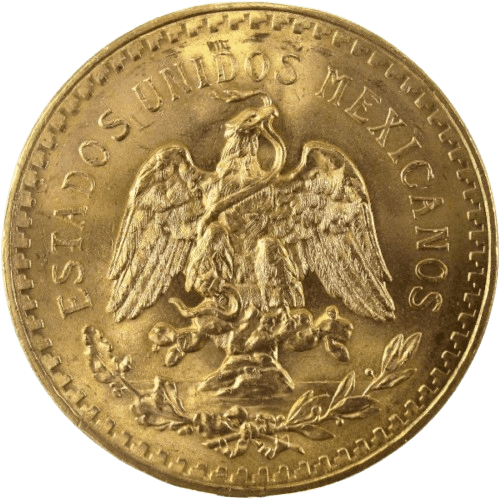 Close-up of a tree stump showing growth rings and a textured brown wood surface.