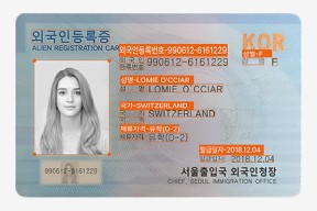 외국인등록증/국내거소신고증/영주증