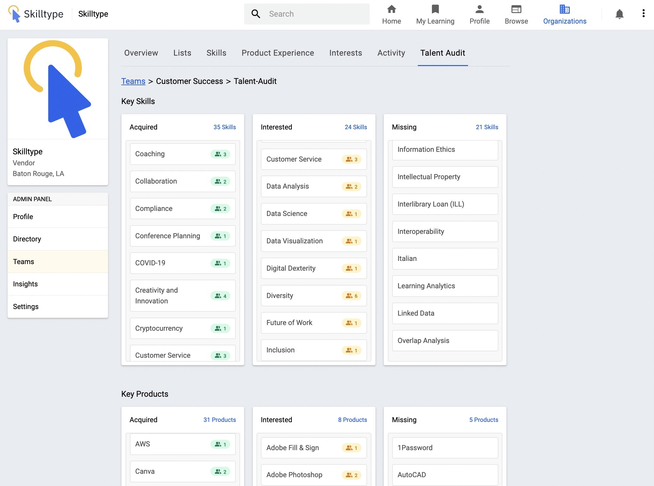 Screen capture of Skilltype's team talent audit, showing 3 columns of skills