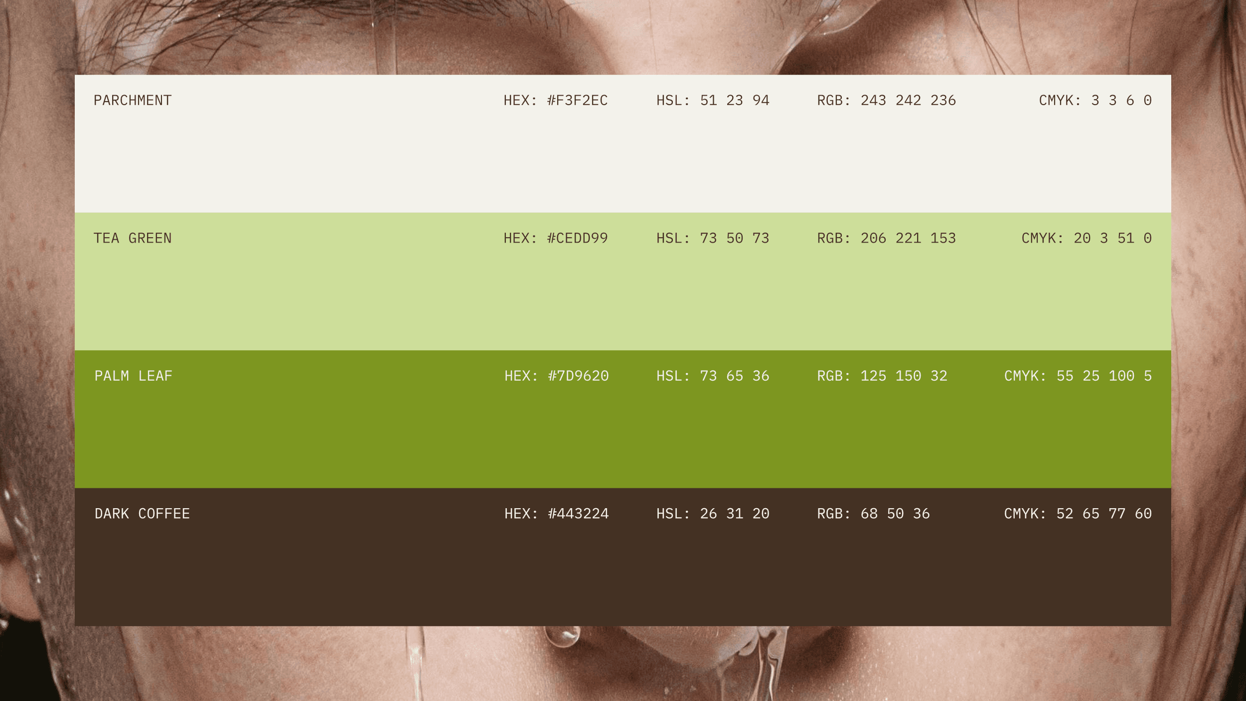 The VÉRA Botanicals color palette, consisting of green and brown tones.