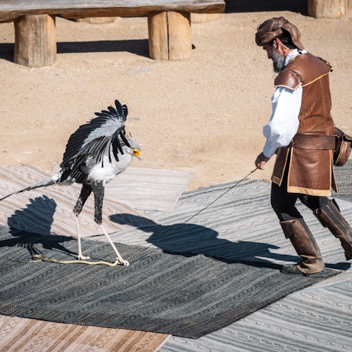 PUY DU FOU ИСПАНИЯ