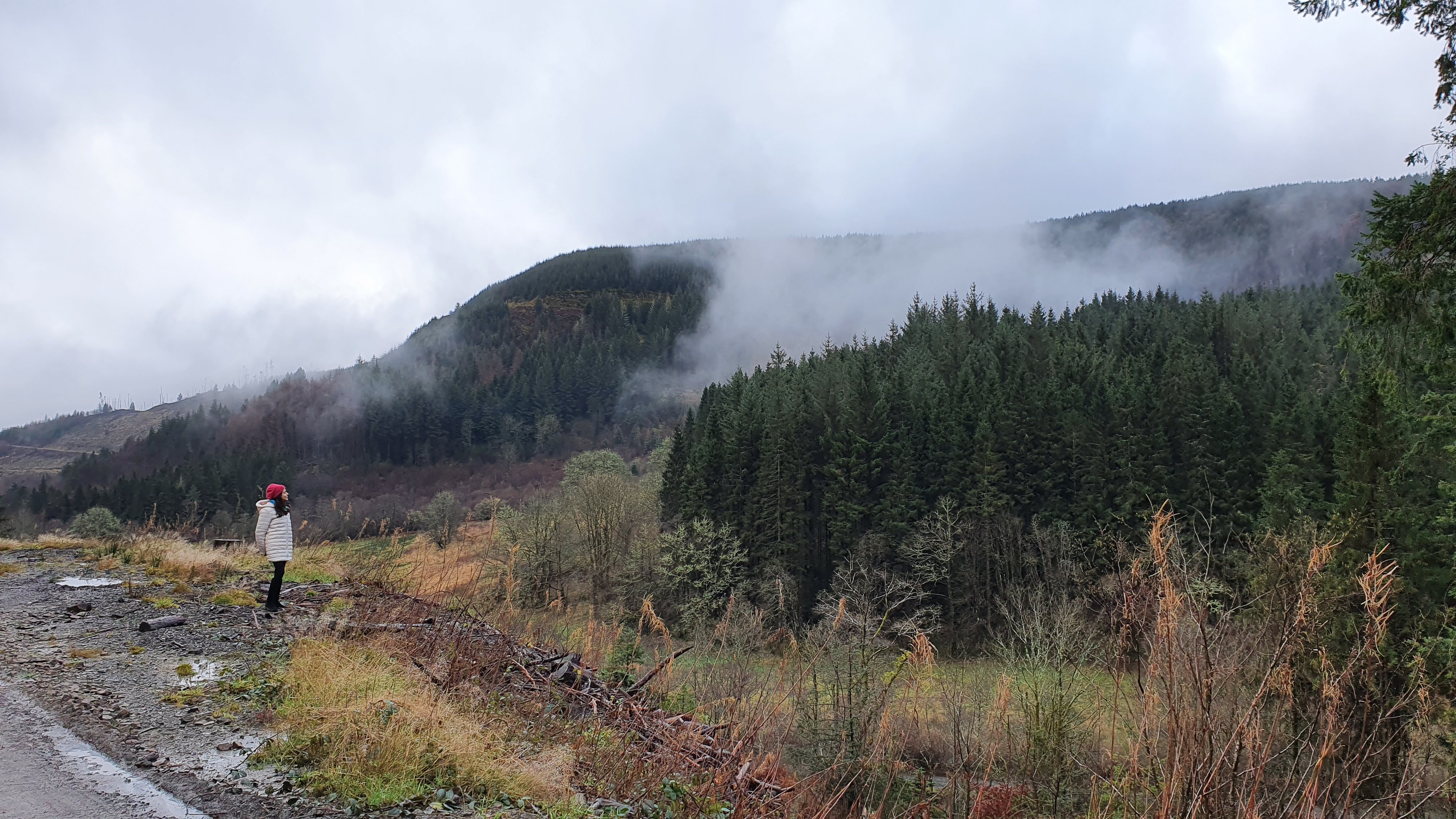 Samira looking at foggy welsh environment