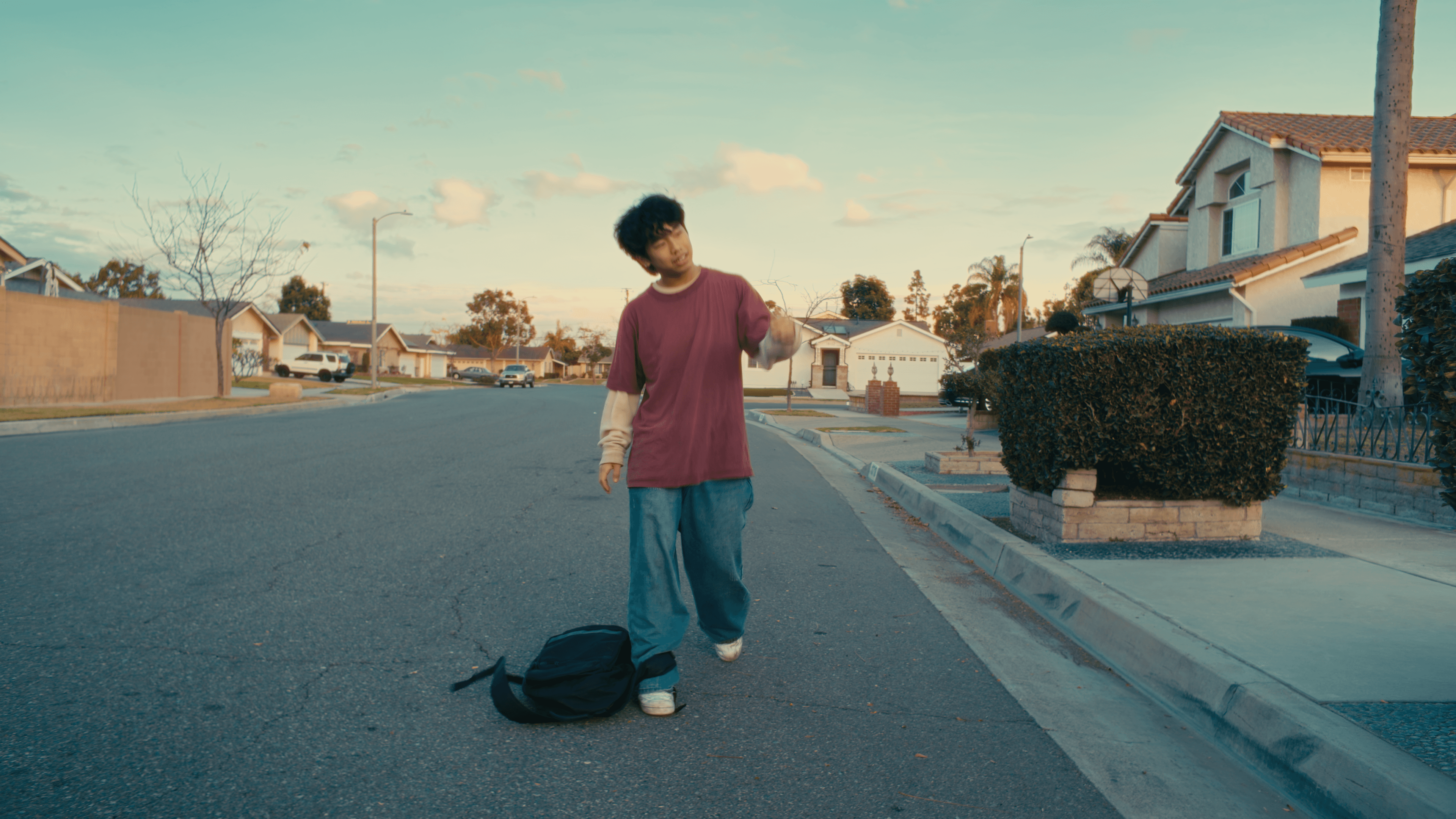 Dom Pérignon vineyards from the sky