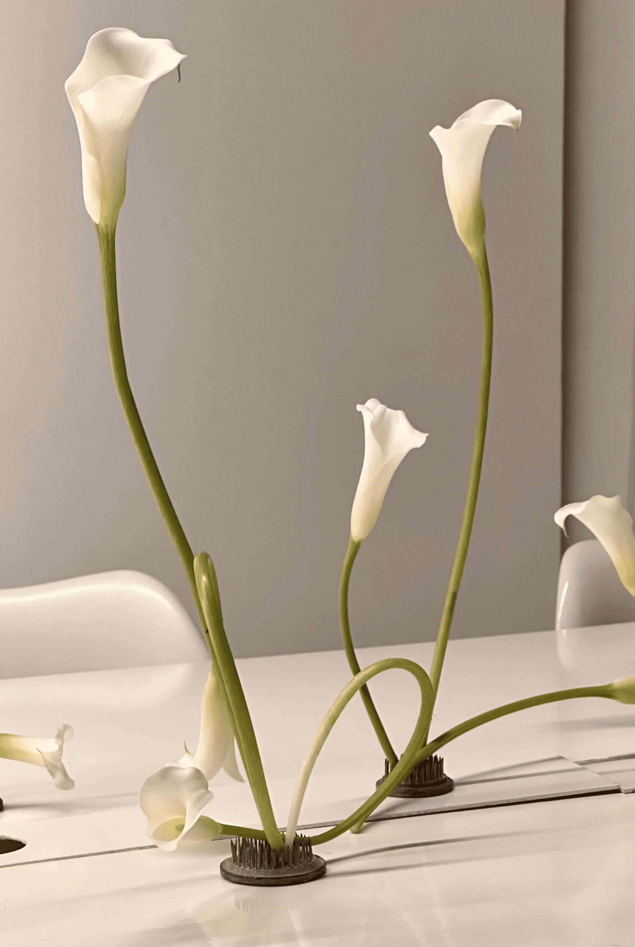 Composición floral de calas blancas con tallos curvos, evocando un estilo artístico y arquitectónico sobrio.