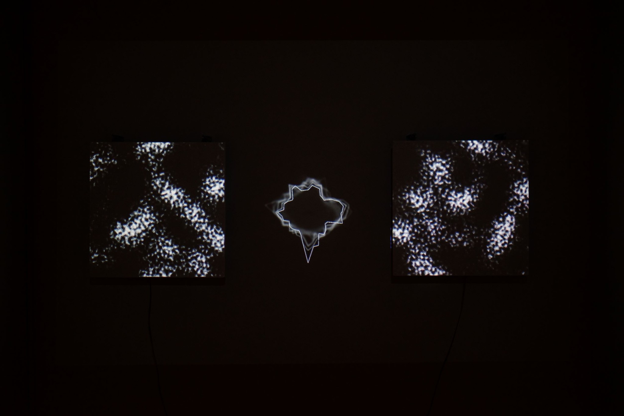 The Dog Who Swallow Millions Exhibition Photo 4