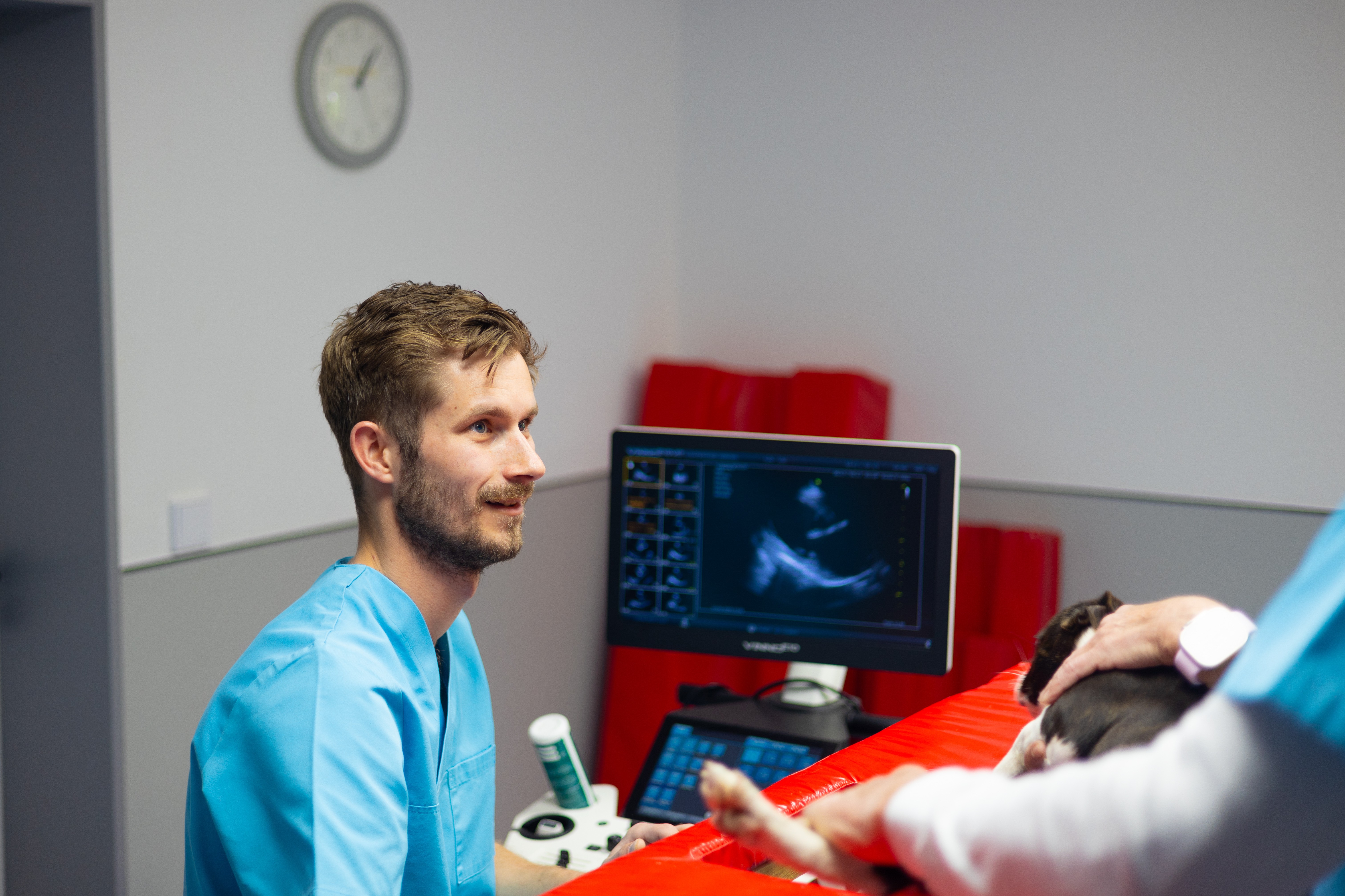 In einer Tierarztpraxis untersucht ein freundlicher Tierarzt in blauer Kleidung einen kleinen Hund auf einem