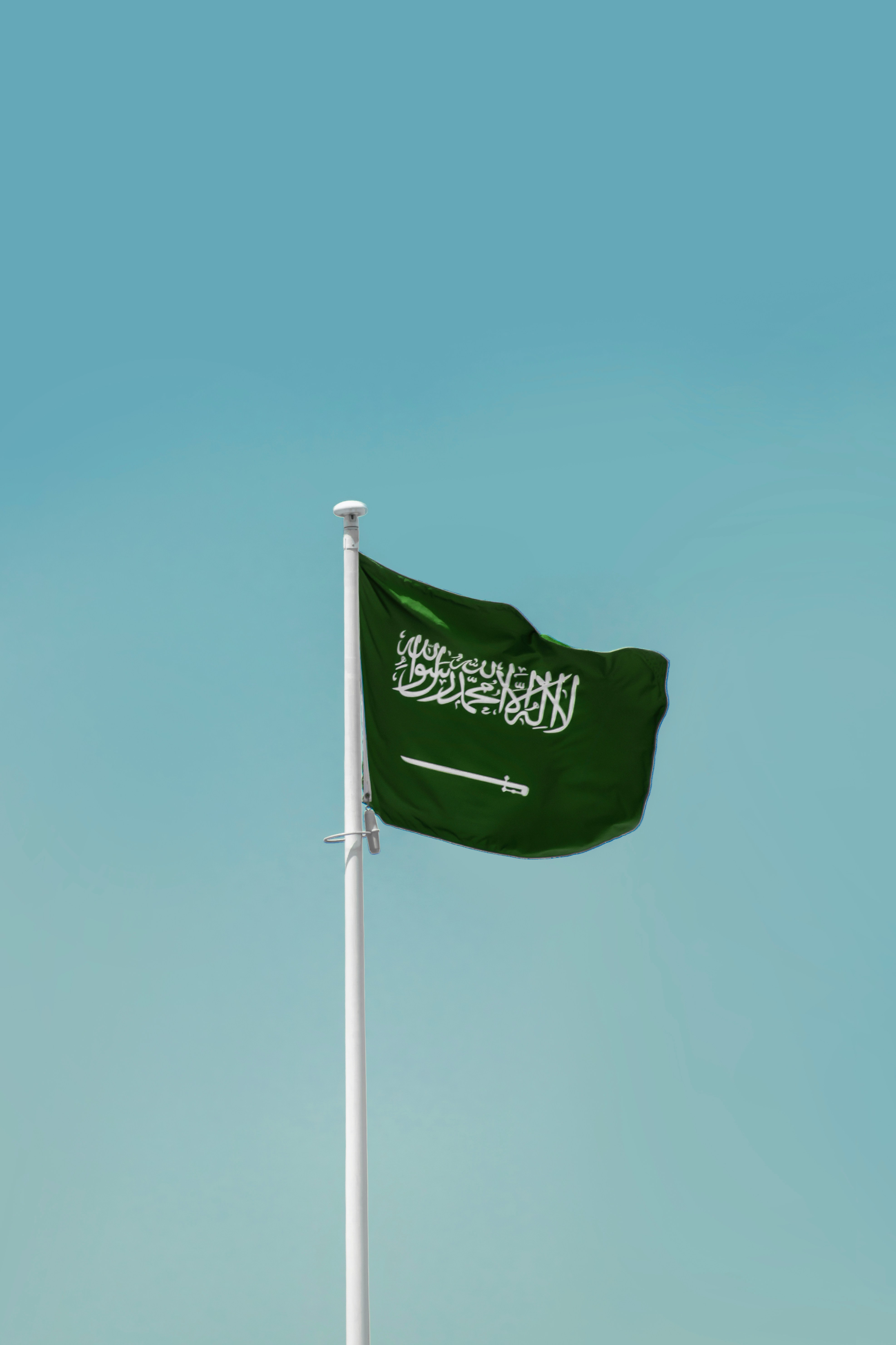 a flag on a pole