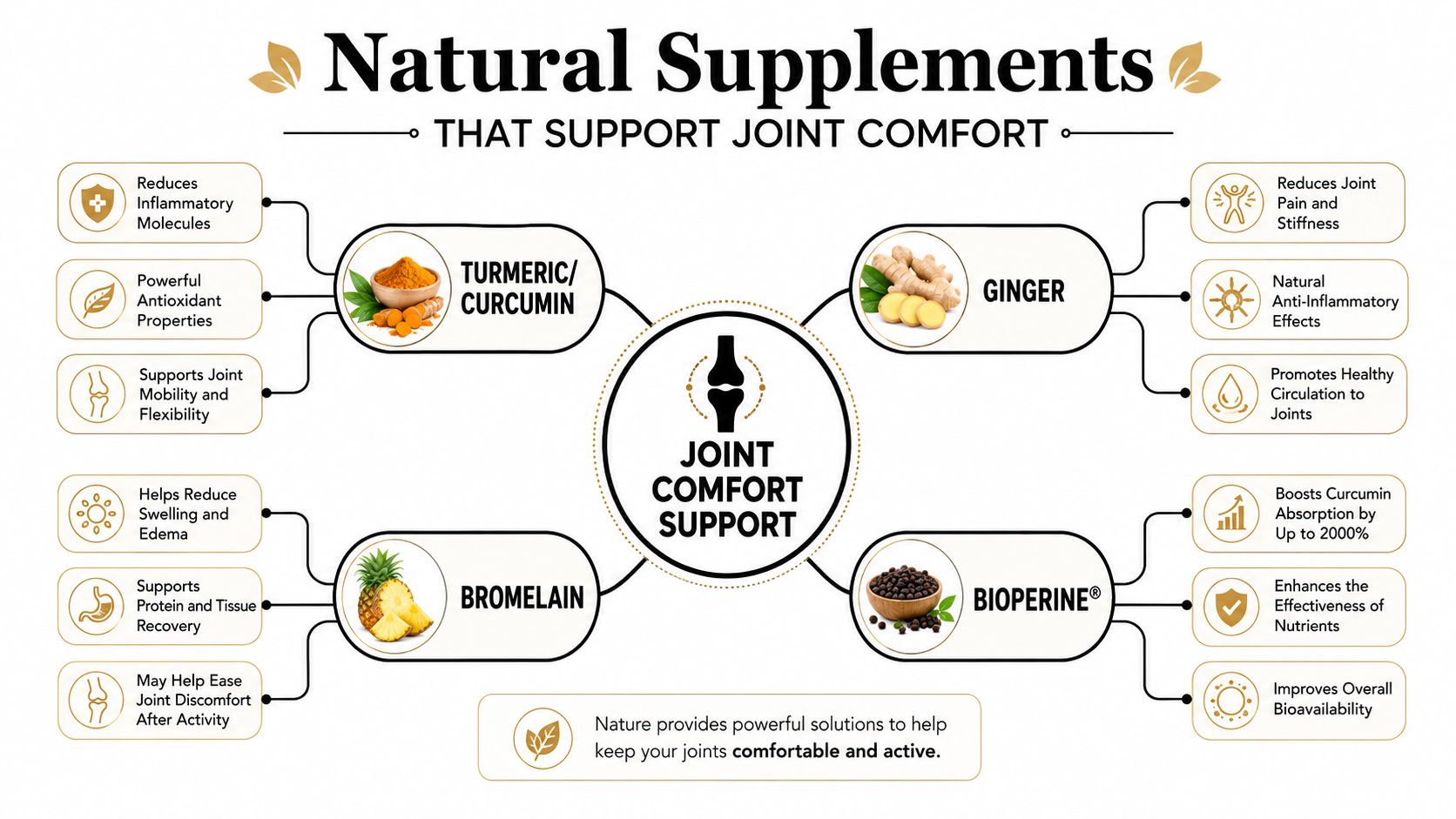 An infographic detailing natural supplements like turmeric, ginger, bromelain, and bioperine that support joint health and comfort.